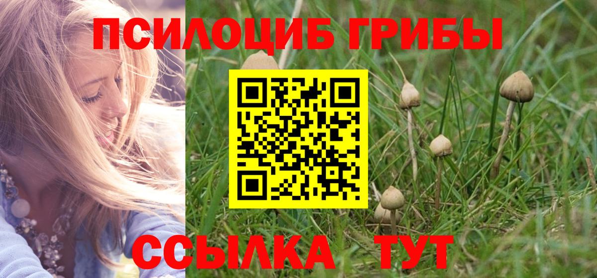 Галлюциногенные грибы ЛСД  Псилоцибиновые грибы Psilocybe  Костомукша  Вход с VPN 